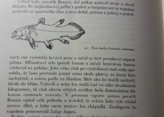 7-kniha-balon-seneš-expedícia-cayo-largo