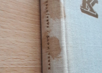 2-kniha-karel-nový-sarajevský-atentát