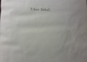 3-kniha-sekelj-búrka-na-acuncagoi