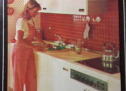 J. Břízová: 1000 rád pre domácnosť