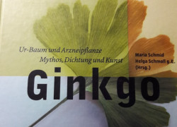 Maria Schmid, Helga Schmoll g.E. (Hrsg.): Ginkgo