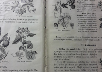 7-rastlinopis-a-náuka-o-zemi-učebnica