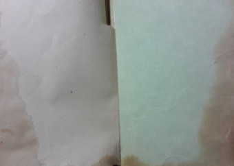 4-kniha-svirskij-příkaz-přátelství