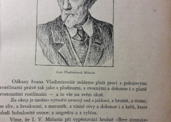 4-kniha-verzilin-putování-s-okrasnými-rostlinami