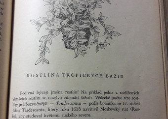 5-kniha-verzilin-putování-s-okrasnými-rostlinami