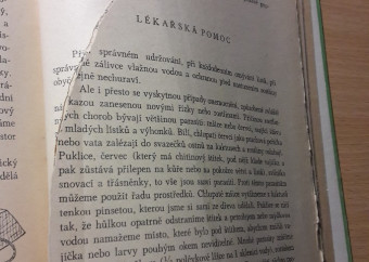 6-kniha-verzilin-putování-s-okrasnými-rostlinami