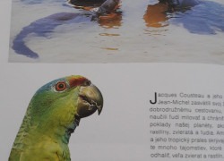 20190830_103309