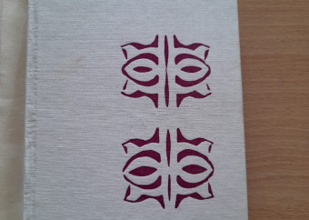 2-elena-čepčeková-dievča-z-majera-dosky