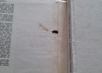 3-elena-čepčeková-dievča-z-majera