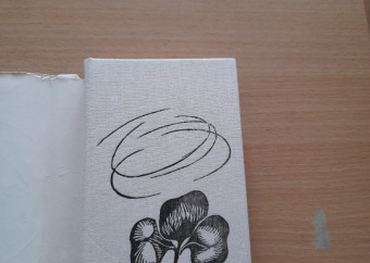 2-kniha-helena-šmahelová-mlaď-na-krídlach