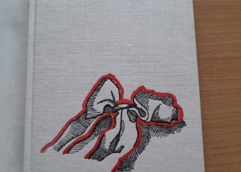 2-kniha-jana-šrámková-biela-stužka-v-tvojich-vlasoch