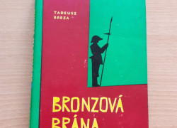 Tadeusz Breza: Bronzová brána