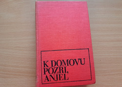 Thomas Wolfe: K domovu pozri, anjel