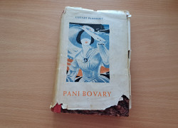 Gustave Flaubert: Pani Bovary