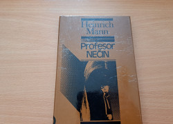 Heinrich Mann: Profesor Nečin