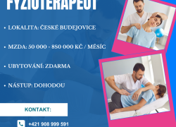 Fyzioterapeut v Českej republike