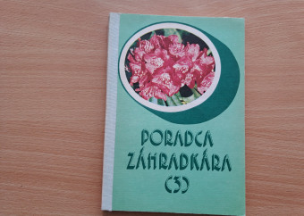 20250422_161325