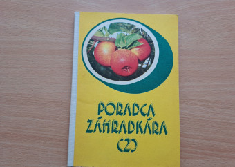 20250422_161559