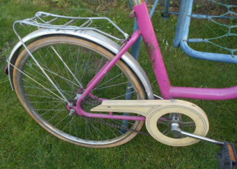 BIC LIBERTA 24 PINK.6