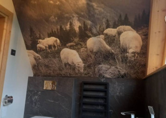 Renovačné a dokončovacie služby (8)