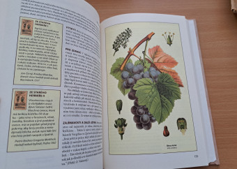 2-kniha-bednářová-herbář