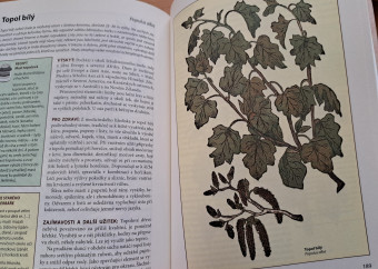 3-kniha-bednářová-herbář