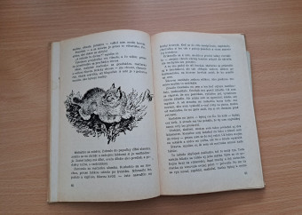 4-kniha-čarušin-o-veľkých-a-maličkých