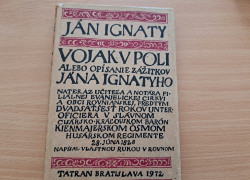 Ján Ignaty: Vojak v poli