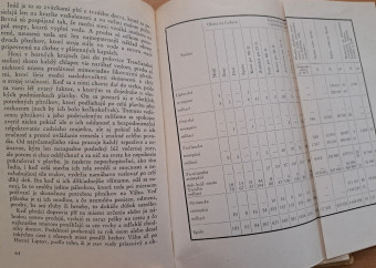 3-kniha-mednyanský-malebná-cesta-dolu-váhom