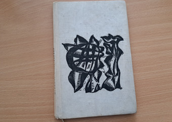 1-kniha-mladosť-a-jej-zápasy