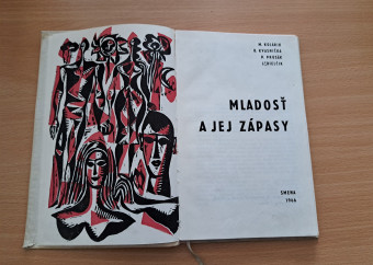 2-kniha-mladosť-a-jej-zápasy