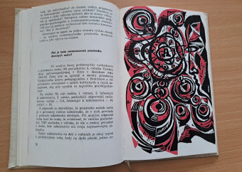 4-kniha-mladosť-a-jej-zápasy